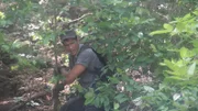Myke in jungle.