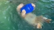 Ein Eisbär spielt mit einer Tonne.