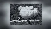Auf der Transitstrecke zwischen der BRD und Westberlin bei Kilometer 4,5 stellen Polizisten dieses Paket sicher, zusammen mit drei weiteren. Bei genauer Betrachtung entdeckten die Beamten in einem der Pakete ein menschliches Bein.