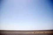 Shaumari Wildlife Reserve