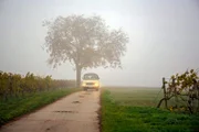 Fünf Landfrauen und ein Oldtimerbus mit Fahrer auf dem Weg zur Öko-Winzerin Christine Bernhard ins Zellertal.