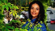 ARD/WDR QUARKS IM ERSTEN, "Wie wir die Natur zurückholen können", Wir Menschen sind fast überall. Selbst, wenn wir „raus in die Natur“ gehen, ist diese von uns geprägt. Der Wald wird durchforstet, um Holz zu liefern, die Wiesen dienen der Viehzucht, Skipisten führen durch Gletscherregionen und aus den Städten hat sich die echte Natur schon längst verabschiedet. Schon lange wissen wir, wie dringend es ist, eine lebenswerte Umwelt und das Klima zu schützen. Wie schaffen wir mehr Artenvielfalt, mehr echte Natur auch in unseren dichtbesiedelten Ballungsräumen in Europa? Also Ökosysteme, die nicht von Menschen gestört werden. Auf der Weltnaturkonferenz im Dezember 2022 einigte sich die Staatengemeinschaft darauf, 30 Prozent der Meere und der Landesflächen unter Schutz zu stellen. Bis 2030 soll so der Verlust der biologischen Vielfalt gestoppt und der Trend umgekehrt werden. Ein ehrgeiziges Ziel. - Die Sendung moderiert Florence Randrianarisoa
