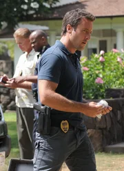 Ermittelt in einen neuen Mordfall: Steve (Alex O'Loughlin) ...