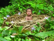Baby in einem Nest aus trockenem Gras.