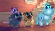 L-R: Hissy, Bingo, Rolly und A.R.F.