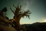 Der Yosemite-Nationalpark im Nordosten Kaliforniens.
