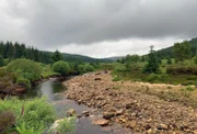 Fluss im Kielder Forest in Northumberland, England  +++