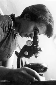 Rosalind Franklin hat zum Verständnis der feinen Molekularstrukturen von DNA (Desoxyribonukleinsäure) und RNA (Ribonukleinsäure) beigetragen.