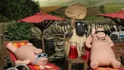 Die Schweine genießen die Zeit, in der Bitzer krank ist, und lassen die Schafe für sich arbeiten.