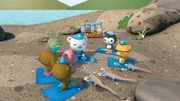 Seit die Echsen das U-Boot der Oktonauten befreit haben, herrscht wieder Friede: Gemeinsam picknicken sie am Ufer. (V.li.) Dana, Trixie, Sebastian, Dr. Tintling, Käptn Barnius, Peso und Kwasi