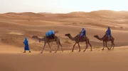 Bis heute ziehen Beduinen als Nomaden durch die Sahara, wobei Dromedare ihre unentbehrlichen Begleiter sind.