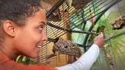 Katharinasittiche sind wenig zutraulich - aber Pia hat ein Händchen für sie.