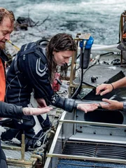 Mark Stamper, Kayla Johanson und Paul Richardson suchen im Schleusenkasten nach Gold.