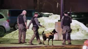 Cops with a K-9 dog.