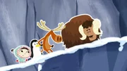 Bei der Rückreise zur Tundra über die Berge zeigt sich, dass der junge Moschusochse Willy ein ziemlich schwieriger Begleiter ist. Zu seiner allgemein großen Ă„ngstlichkeit kommt nun auch noch dazu, dass er gar nicht schwindelfrei ist.
