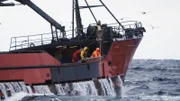 F/V Seabrooke at sea line in block, crew on deck