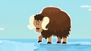 Der junge Moschusochse Willy ist aus seiner Heimat, der Tundra, mit einer Eisscholle zum Nordpol abgetrieben worden. Er ist furchtbar ängstlich und traut sich den Sprung von der Eisscholle ans Festland nicht zu. Wie soll er den Weg nach Hause schaffen?