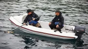 Plettenberg Bay, South Africa: Since aggressive orcas have driven the great white shark population from their usual hunting grounds, a new shark hot spot seems to be establishing itself here - around 200 km west of Port Elizabeth.