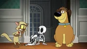 v.li.: Chester, Bunnicula, Harold