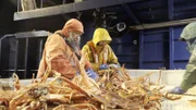 Titan Explorer deckhands sorting and measuring crab