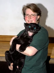 rbb Fernsehen PANDA, GORILLA & CO., TEIL 187, "Geschichten aus dem Zoo Berlin und dem Tierpark Berlin", am Freitag um 20:15 Uhr. Pflegerin Angelika Berkling hat mit dem Pantherbaby alle Hände voll zu tun.