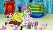 Sandy unternimmt ein wissenschaftliches Experiment, um das Verhalten von SpongeBob und Patrick zu studieren.  +++
