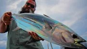 Jay Johnson single with fish.