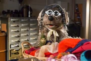 Lotti und Buffo haben heute zwei große Rollen im Märchen zu spielen: Jägerin und Großmutter!