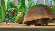 Warum verstecken sich die Termiten vor Zak, Willow und Chowser?