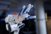 An der TU Berlin wird ein Roboterarm entwickelt, der eigenständig lernen soll.