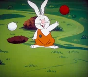 Benny Bunny ist dem Geheimnis der verschwundenen Krockettkugeln auf die Spur gekommen.