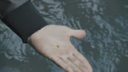Kleines Goldstück in der Hand.
