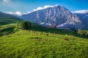 Die Schweizer Alpen sind für viele Menschen ein Naturparadies.