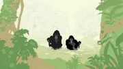 Die Gorillafamilie soll in ein artgerechteres Gehege umziehen. Doch die Gorillas lieben ihr altes zuhause und haben keine Lust auf einen Umzug.