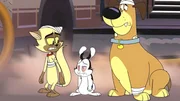 v.li.: Chester, Bunnicula, Harold
