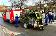 Natürlich ist auch die Jugendfeuerwehr unterwegs. Sie sammelt die ausgedienten Weihnachtsbäume fürs Hutzelfeuer ein.