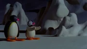 Pingu und Schlafwandlerin Pinga draussen im Dorf.