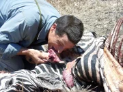 Bear Grylls