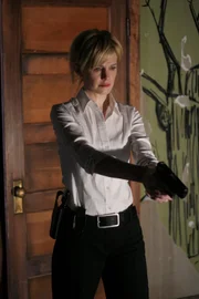 Trotz des grausamen Anblicks muss Det. Lilly Rush (Kathryn Morris) die Fassung bewahren ...