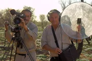 Hans Schweiger (links) und Ernst Arendt bei Film- und Tonaufnahmen im australischen Busch.