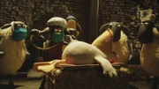 Bitzer und Shaun bringen den Pelikan in die Scheune, um ihn zu pflegen.