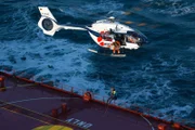 Waldarbeiter im Einsatz