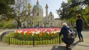 Blühende Insel im Park vor der Karlskirche.