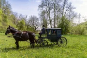 Die böse Königinmutter Eliza (Adele Neuhauser) ahnt, dass die drei Königskinder leben und macht sich auf die Suche nach ihnen.