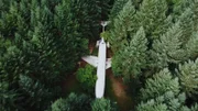 Ein Flugzeug vom Typ Boeing 727, das in einem Kiefernwald versteckt ist  +++