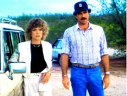Die Rundfunkmoderatorin Holly Hudson (Gretchen Corbett) beauftragt Magnum (Tom Selleck), nach ihrer großen Liebe Don Cassidy zu suchen. Doch Magnum ahnt nicht, dass Holly nur Rache an Don üben will...