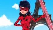 Ladybug