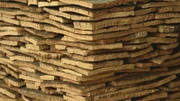 Piles of cork stacked up.