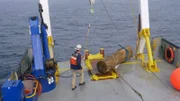Die Schiffsberger aus New Jersey wollen noch weitere wertvolle Baumstämme vor Wintereinbruch bergen.