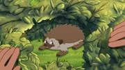 Der kleine Igel hat sich im Gebüsch in einem Garten versteckt und wurde verletzt.